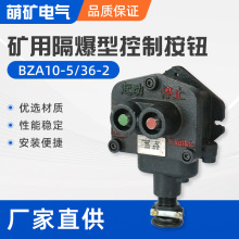 按钮BZA10-5-36-2煤矿用隔爆型控制按钮 双联防爆开关矿用隔爆型