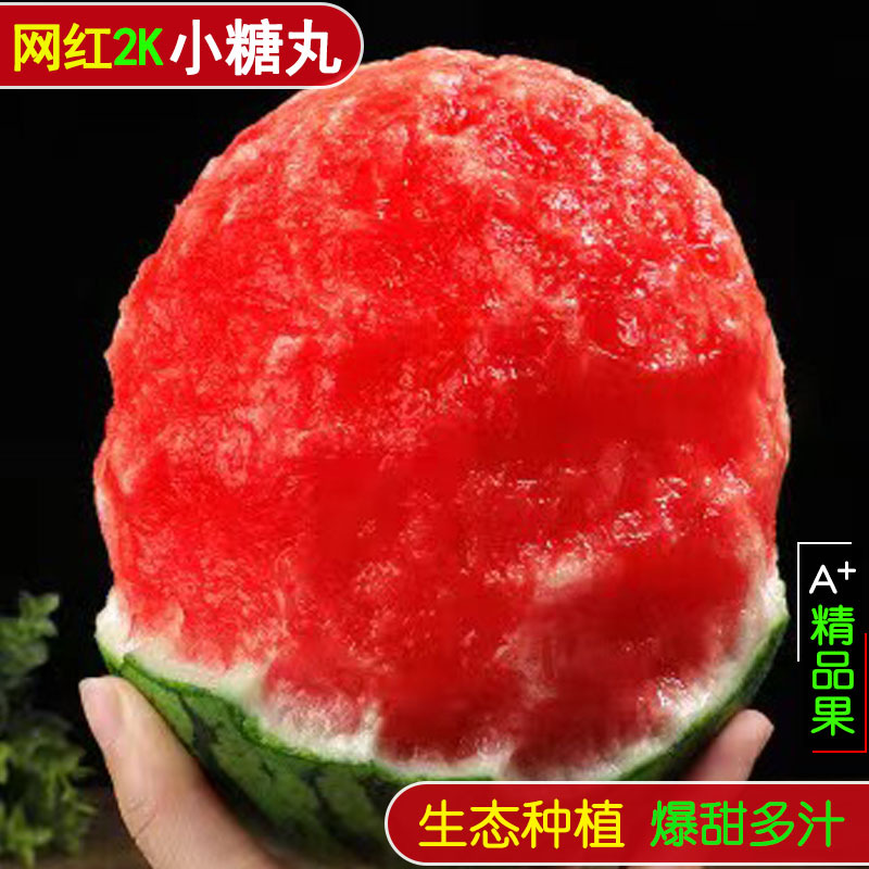 陕西吊篮小西瓜水果新鲜甘美2k小糖丸美都麒麟西瓜两个到4个装
