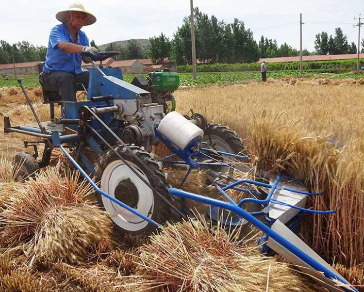 芦苇割捆机 自走式收割打捆一体机 水稻青稞割晒机玉米秸秆收割机