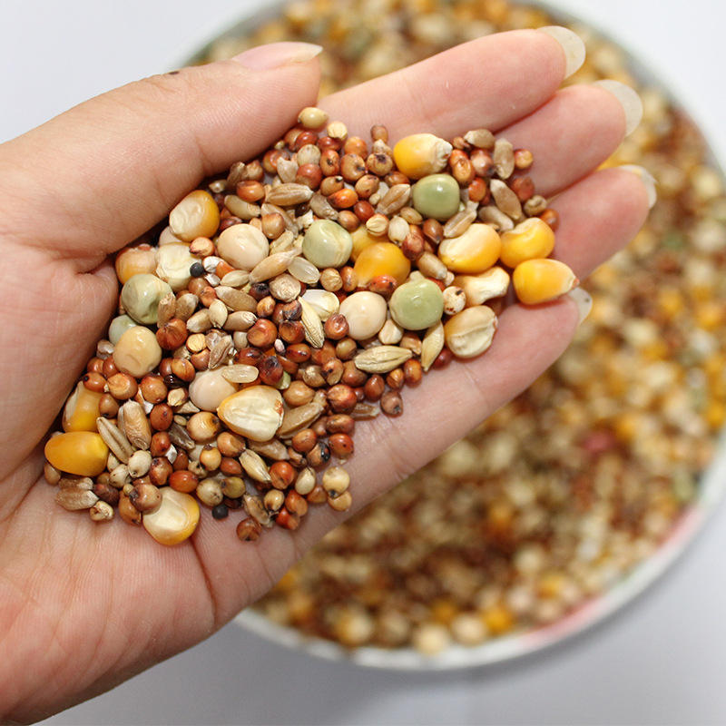 鹦鹉天空大型鹦鹉高能量无壳饲料金刚灰鹦鹉混合鸟粮食饲料5斤-报价