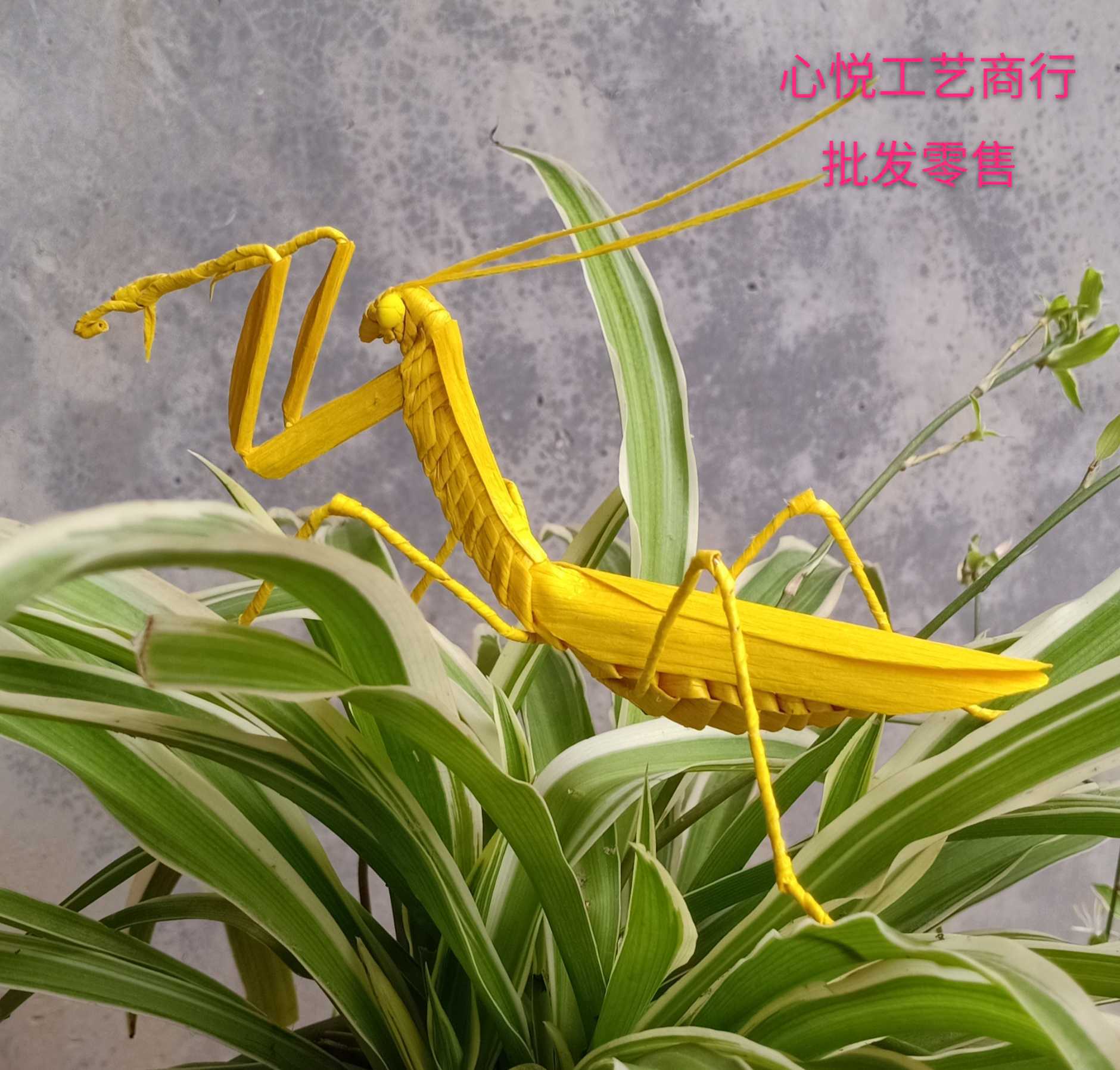 草编昆虫幼儿园蟋蟀棕编蚂蚱动物地方特色民间制作摆件时尚创意