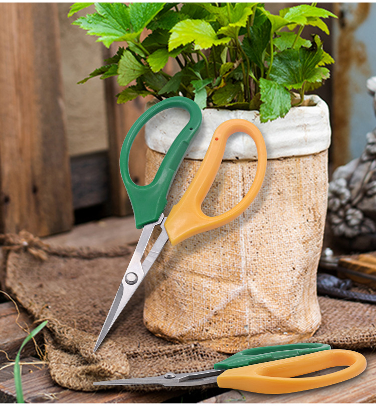 厂家批发葡萄修枝果剪刀 修枝剪采果剪 绿黄双色弯头蔬果剪