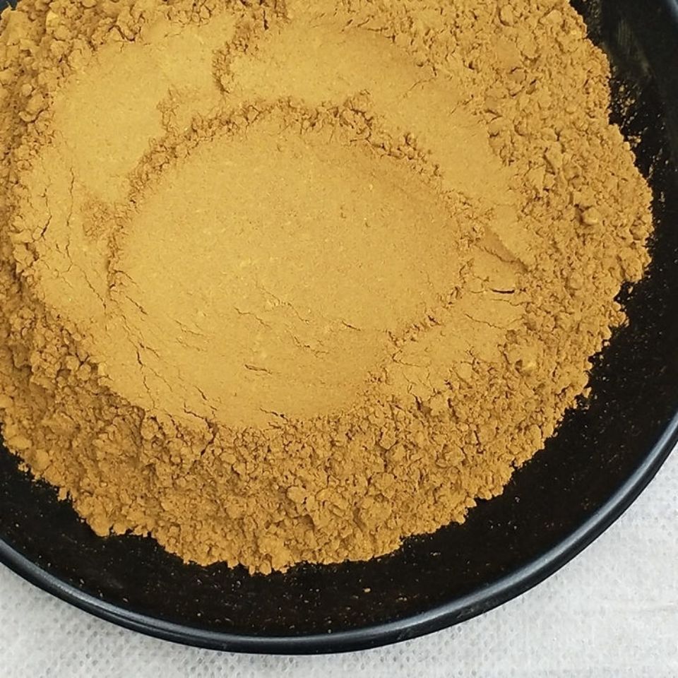 桑黄粉西藏桑黄500g桑树桑黄100g粉多规格