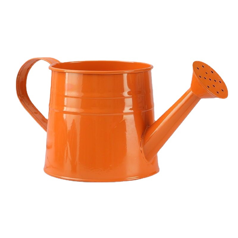 铁艺洒水壶浇花喷壶盆栽浇水壶多彩1升喷水壶园艺养花装饰花盆