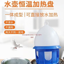 小型水壶加热器鸽具饮水盘赛鸽恒温器防冻保温鸽子用品用具大全