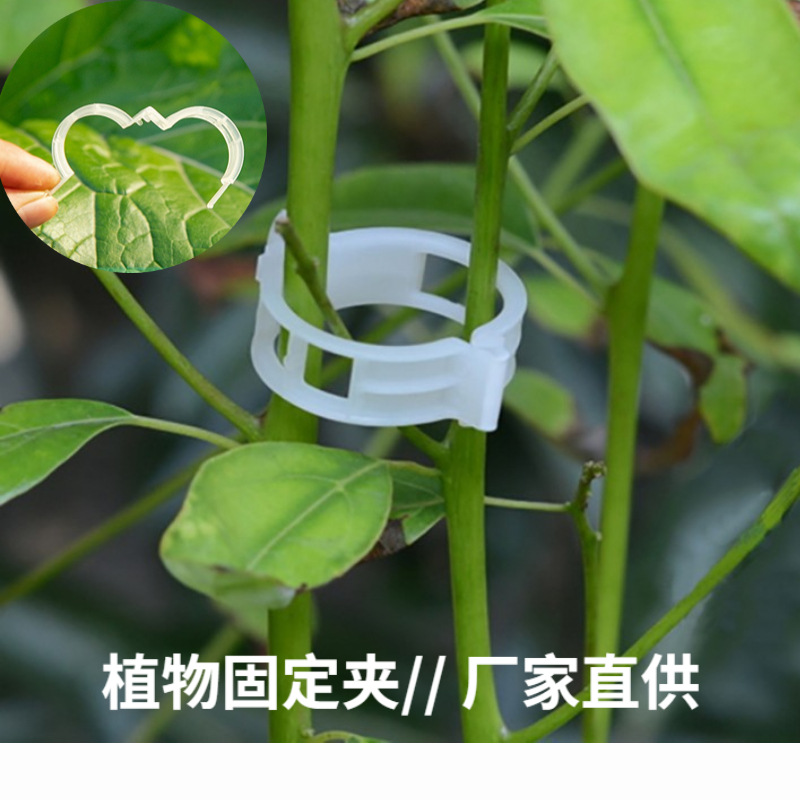 植物固定夹绑蔓夹扶蔓夹绑枝夹番茄蔓藤专用塑料小夹子