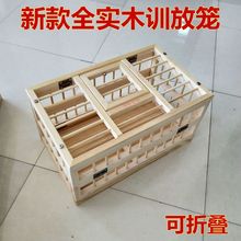 鸽子用品用具折叠鸽笼信鸽训放笼放飞笼鸽子笼不锈钢帆布笼实木