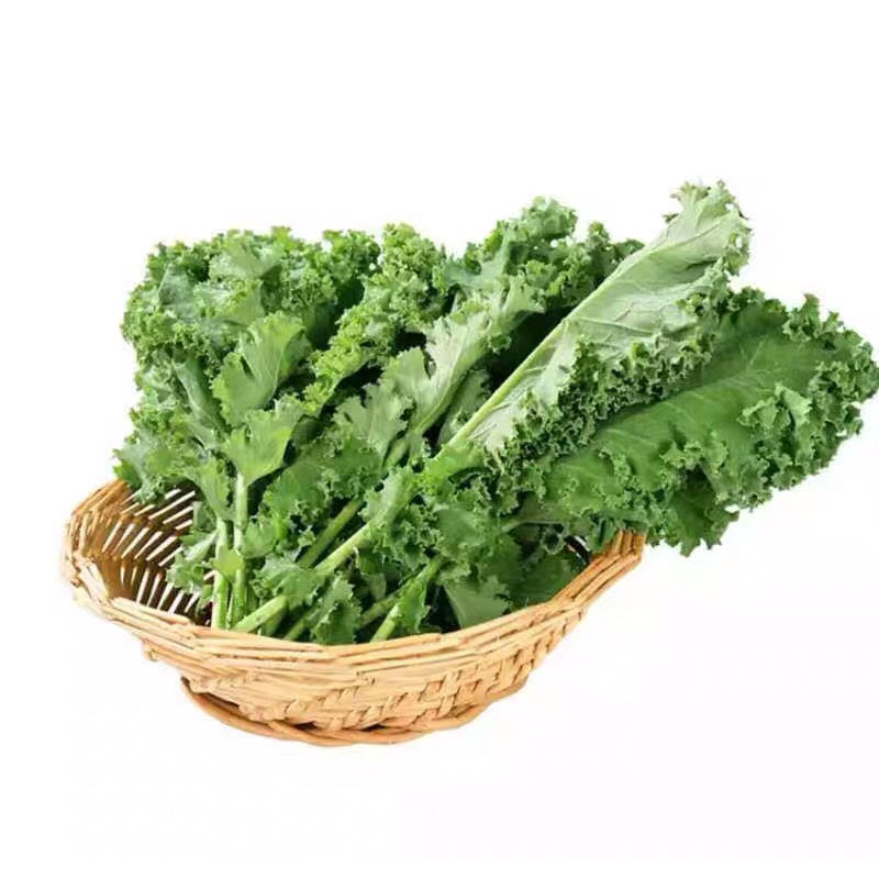 平定豆叶菜(豆叶菜水的功能与作用)