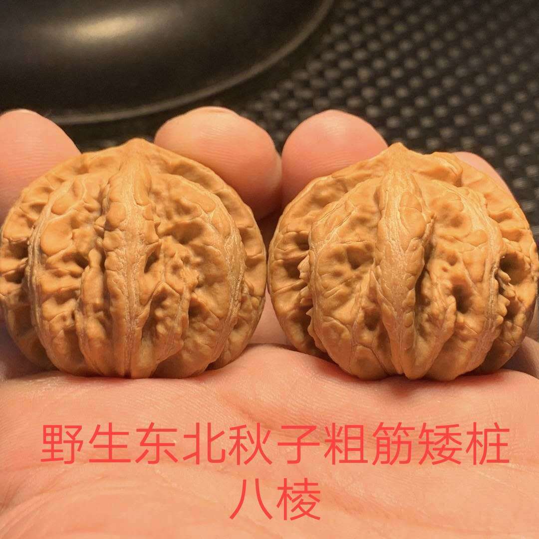 文玩核桃东北野生大秋子精品粗筋矮桩八棱无修生长