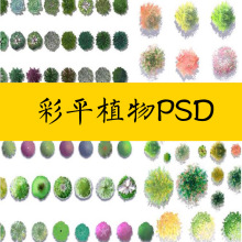 彩平平面免风图例抠清新园林景观树木psd植物小素材图总竞赛21