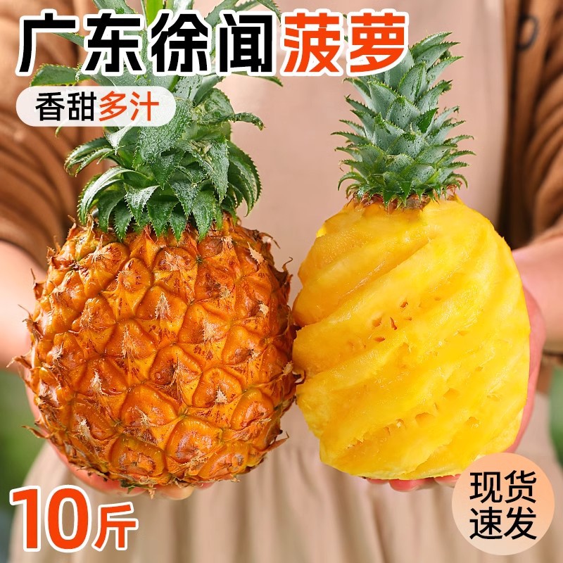 广东徐闻菠萝新鲜水果应当季非金钻凤梨香甜手撕菠萝大果整箱包邮