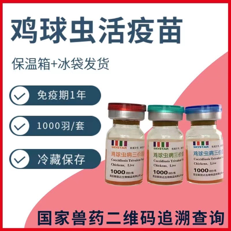 鸡球虫病三价活疫苗 小鸡疫苗 鸡球虫疫苗 肉鸡球虫1000羽一套3瓶