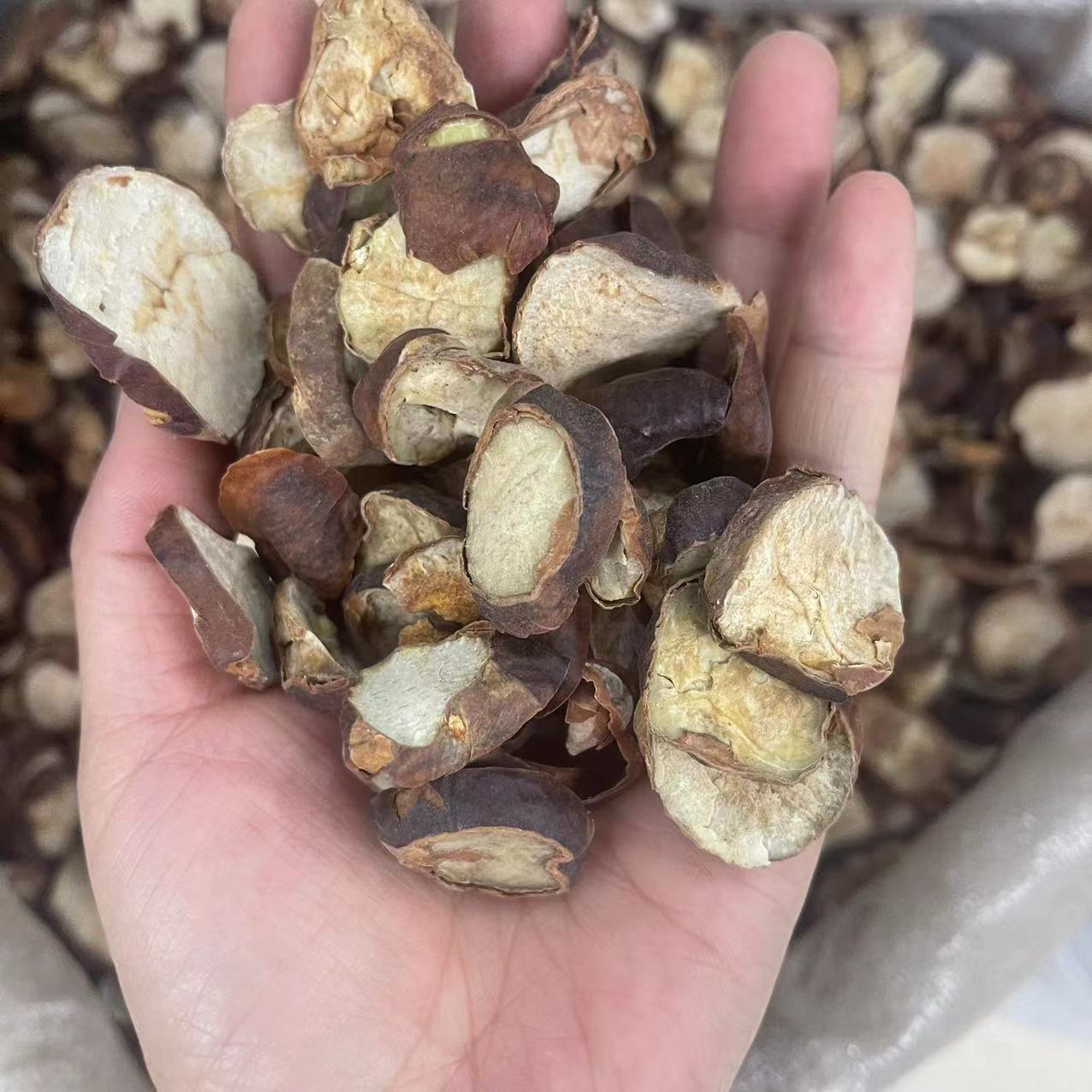 婆罗子中药材批发供应 实物拍摄婆罗子一手货源