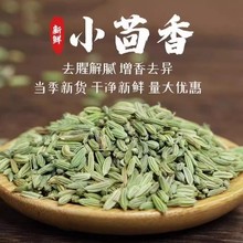 小茴香500-250茴香籽小回香小荤香子干货调料香料烧烤香料大料批