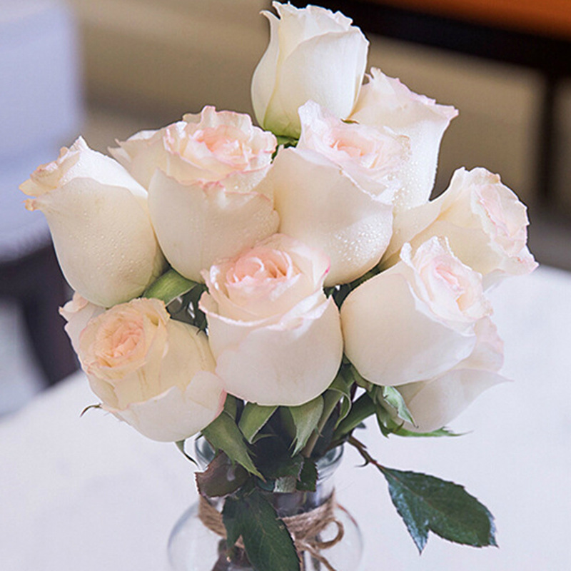 a级小白兔玫瑰花鲜花云南直发直批基地昆明斗南助农真花水养 家用