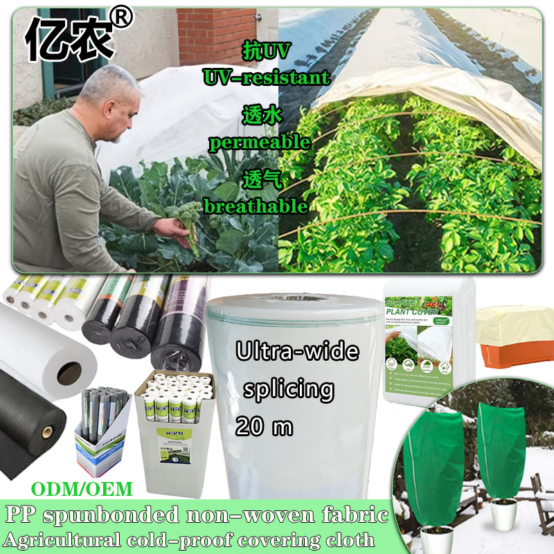 跨境供应PP白色农用防寒无纺布保温透湿抗老化超宽拼接覆盖布