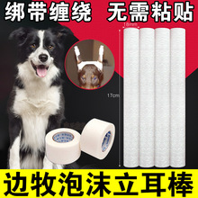 立耳器幼犬边牧狗狗棒竖耳贴耳朵器矫正支架固定