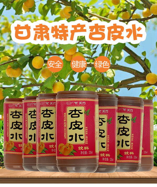 大工厂直销吃火锅聚餐果味饮料杏皮水兰州特产1箱*12小瓶装*230ml