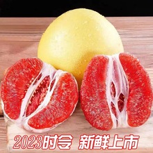 福建平和红心蜜柚新鲜水果琯溪蜜柚孕妇水果当季红肉柚子