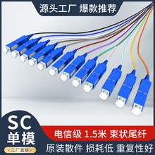 12芯SC光纤束状尾纤终端盒专用尾纤光纤线单模单芯光纤尾纤 1.5米