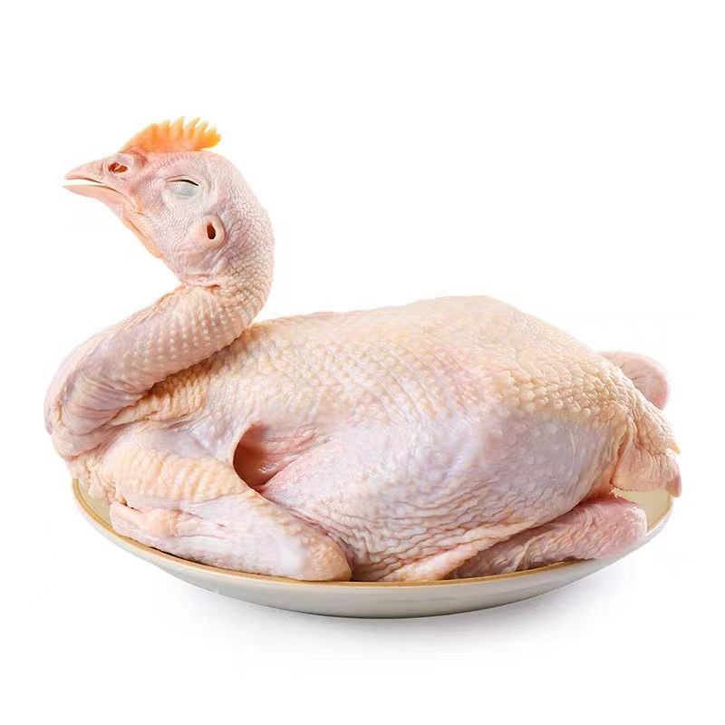 三黄鸡 冷冻 直腿三黄鸡 光鸡 春鸡 西装鸡 烤鸡童子鸡炸鸡各规格
