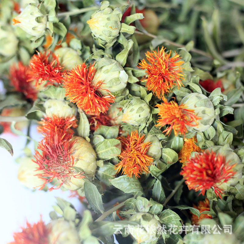 干花橙菠萝花菠萝菊杆子黄花绿杆插花婚庆装饰diy花束包花捧花