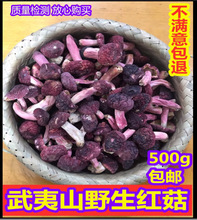 23年新货武夷山野生小红菇福建特产红椎菌干货红蘑菇小菇
