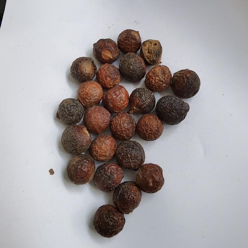 中药材批发 洗手果 无患子 木患子 肥珠子 无患子皮 无硫新货