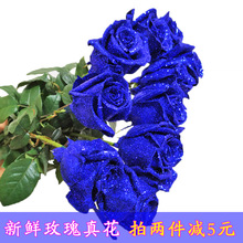 情人节蓝色妖姬鲜花真花蓝玫瑰永生花生日婚礼蓝色妖姬干花花束