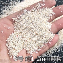 三湖寄居蟹缸造景沙珊瑚贝壳鱼缸装饰底砂慈砂包邮菲律宾海垒德株