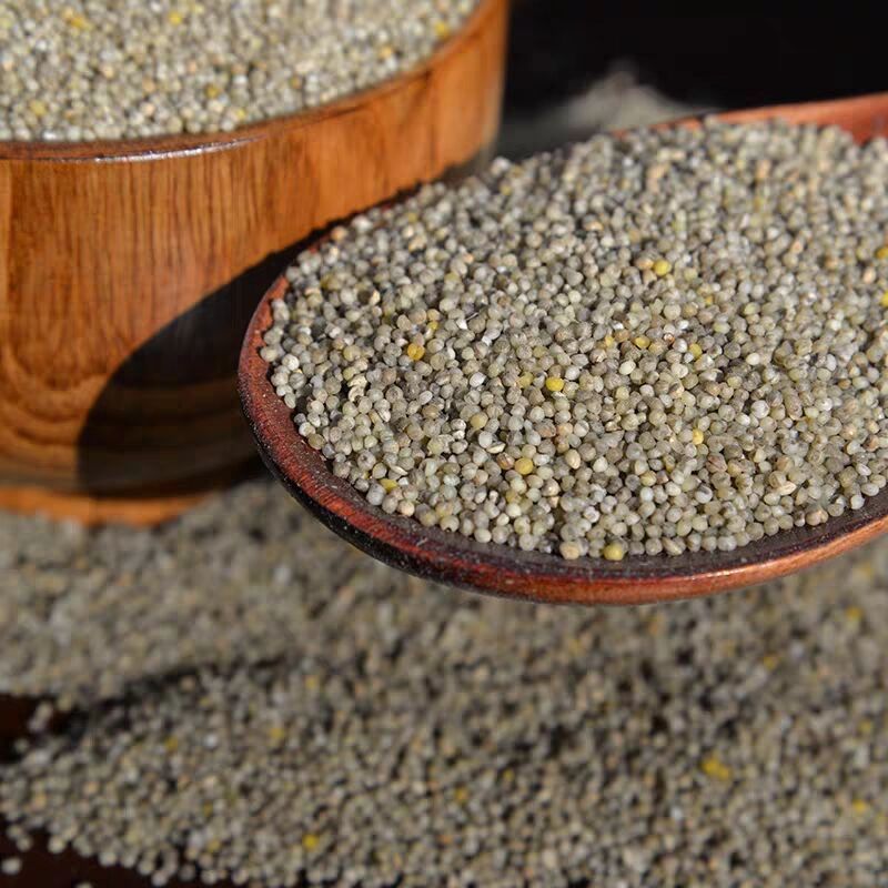 陕北米脂黑小米1-5斤 新米农家自产黑色小米月子米五谷杂粮粗粮米