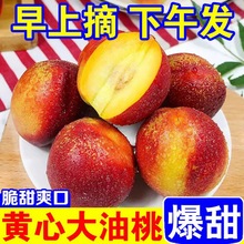 油桃黄心5斤应季大桃子新鲜水果当季水蜜桃整箱孕妇脆蜜桃时令