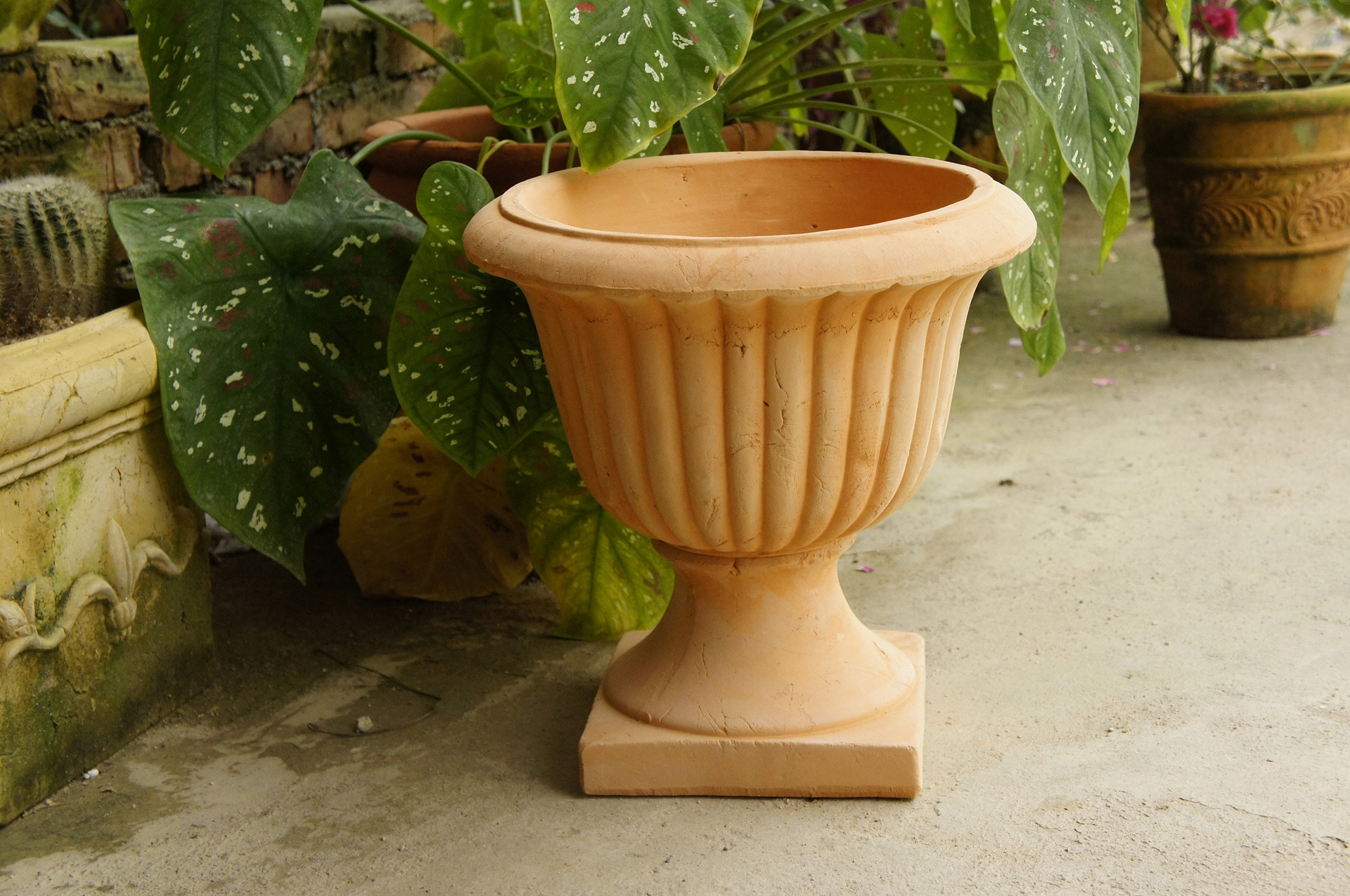 【小额批发】佳域通陶艺 红陶花盆 奖杯型陶盆 庭院盆器 花盆