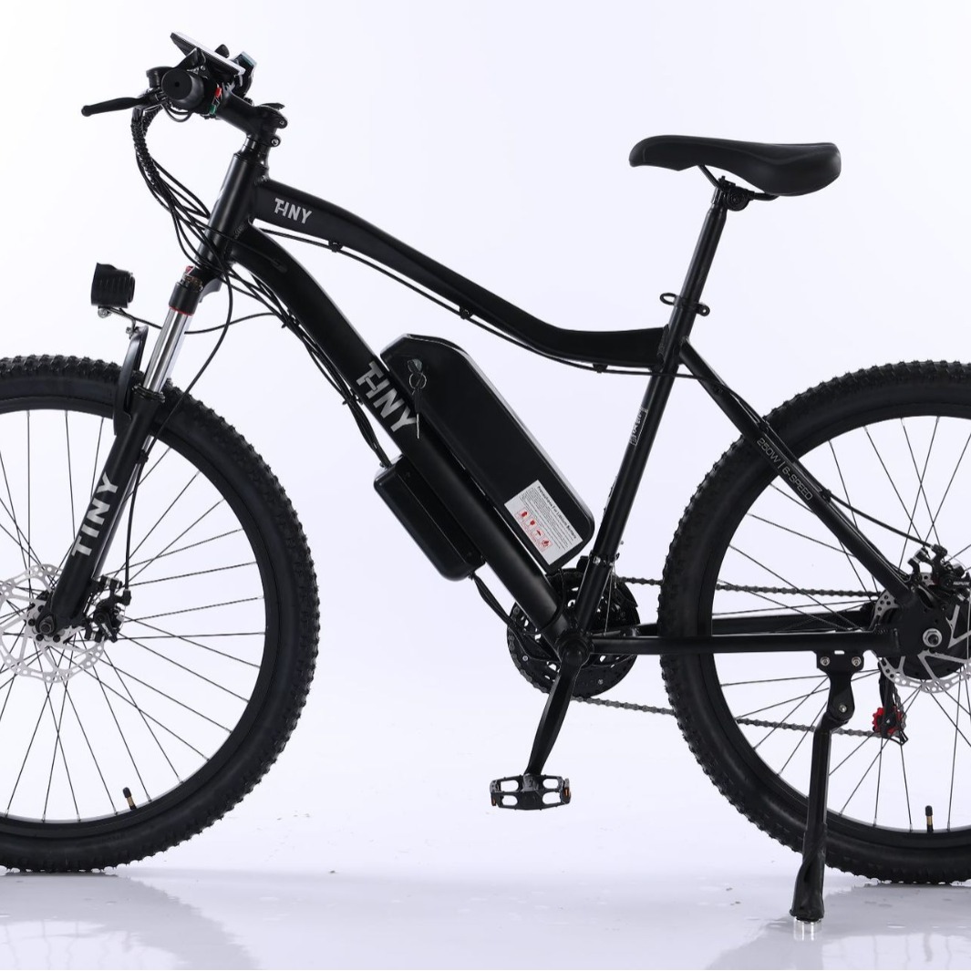2024新品锂电池组电动车 男女通勤国标变速自行车48v一件代发