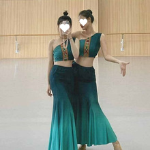 傣族舞蹈服女生艺考演出表演练功服民族舞蹈古典舞孔雀舞裙子新款