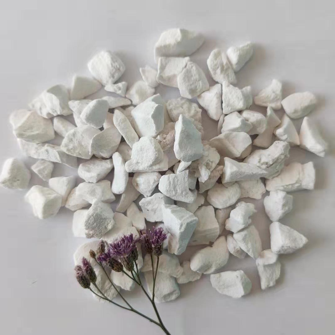 硅藻土轻石鱼缸造景用多肉种植用浮石轻石多种规格