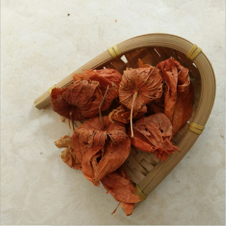 中药材红姑娘菇娘果锦灯笼苦姑娘山姑娘挂金灯皮果锦灯笼干果