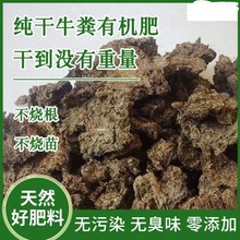 种菜家用花卉纯干牛粪改善土质有机肥盆栽果树绿色