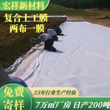 工厂供应复合防渗膜900g防水土工膜PE复合膜有货源