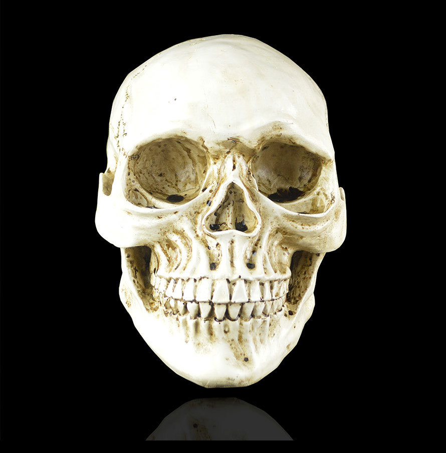 万圣节树脂工艺骷颅头摆件 大号仿真男人1比1头骨医用教学骷髅头