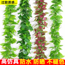 仿真绿萝叶假花装饰藤条藤蔓植物树叶绿叶遮挡空调水管道塑料叶子