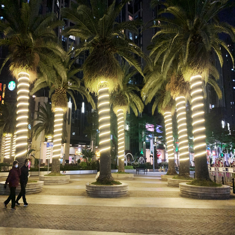 行道树道路绿化树木缠绕景区公园广场景观树木亮化照明led灯带