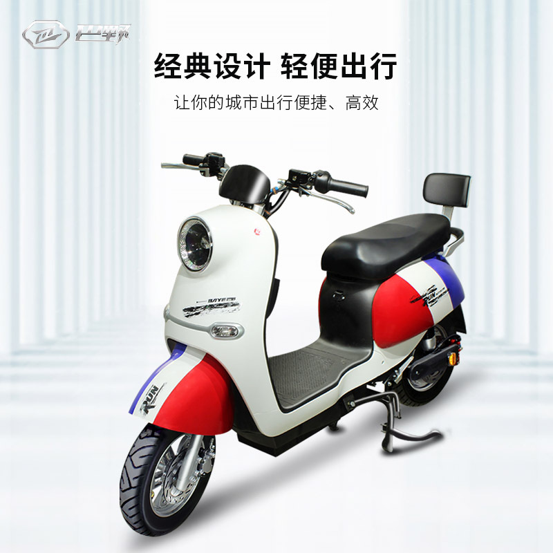 巴野电瓶车新国标锂电池轻便时尚48v长跑男女代步电动自行车