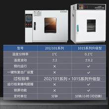 ZM电热恒温鼓风小烘箱工业实验室干燥箱烘干机老化试验箱大明之妙