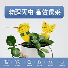 粘虫板诱虫板异形苍蝇陷阱苍蝇贴昆虫陷阱黄板花型黏虫贴诱捕器