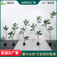 仿真植物春色橡胶榕白锦客厅橱窗办公室落地北欧风格绿植跨境专供