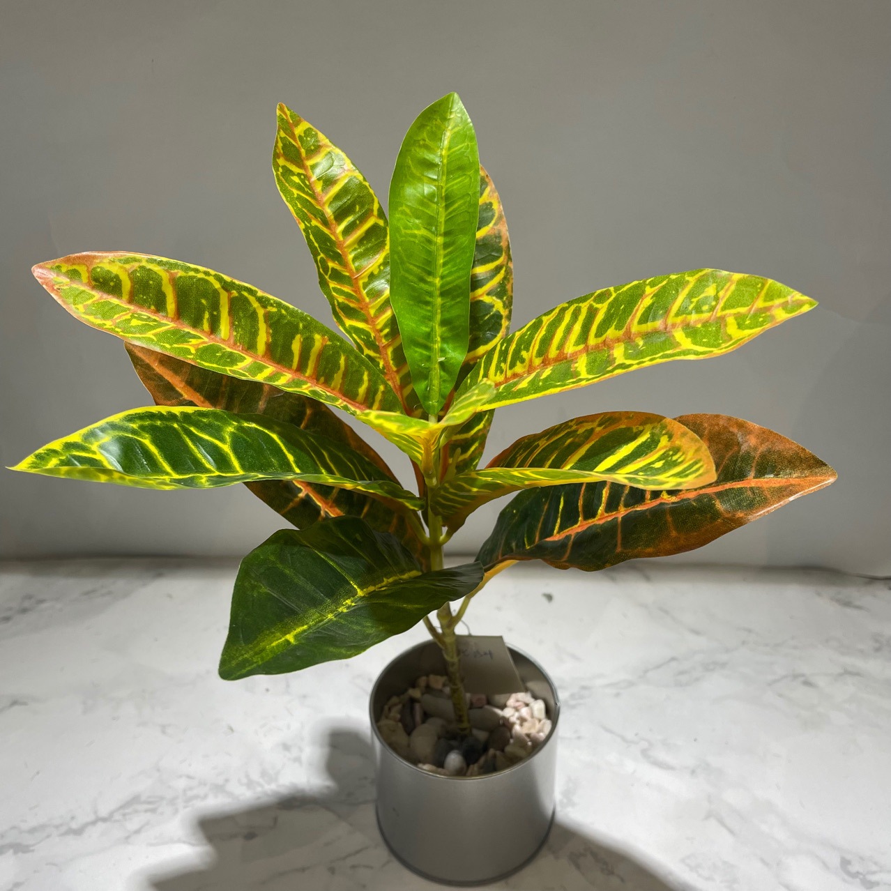 仿真植物七彩叶洒金榕变叶木假叶子变色木植物墙灌木丛造景绿植