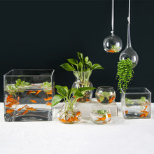 创意水培植物玻璃花瓶透明水养绿萝花盆容器插花瓶圆球形鱼缸器皿