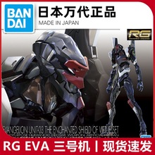 现货  RG EVA 3号机三号机 福音战士 破 第九使徒 ESV盾 拼装