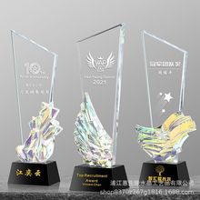 展翅新款水晶奖杯定 制定 做企业员工年会颁奖创意高档大气纪念品